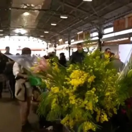 Vue Et Remparts. Entre Vieille Et Plages *